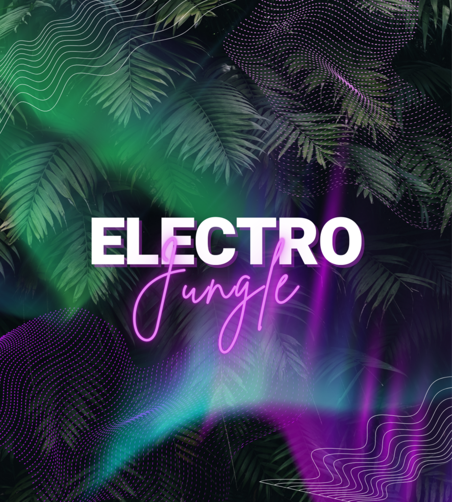 Clé en main - Soirée electro jungle